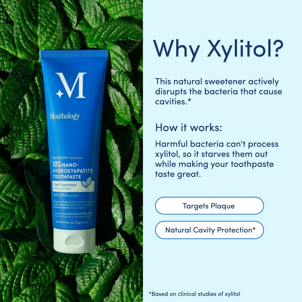 10% Nano-Hydroxyapatite Toothpaste | Fluoride-Free Enamel Care, Fresh Mint